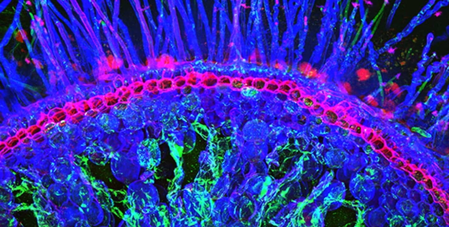 Microbiome and Biological Systems