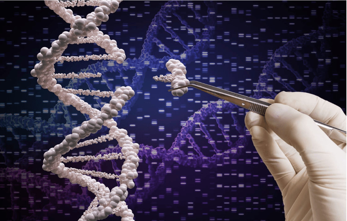 Next-gen human enhancement: muscle, cognition, and mood